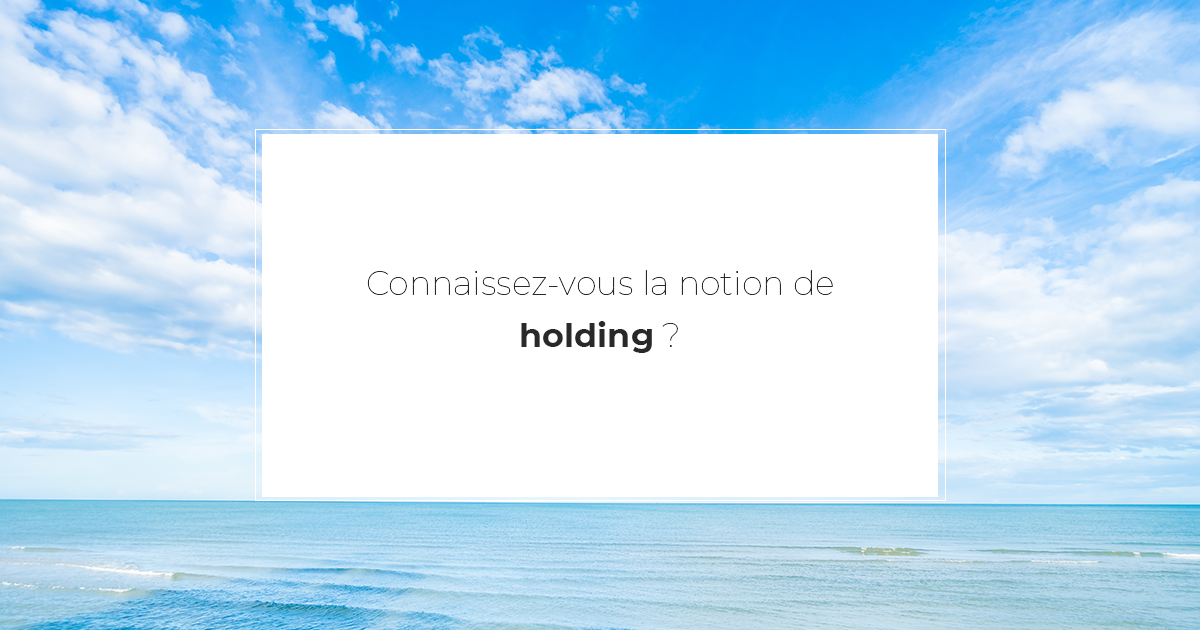 Connaissez-vous la notion de holding ?
